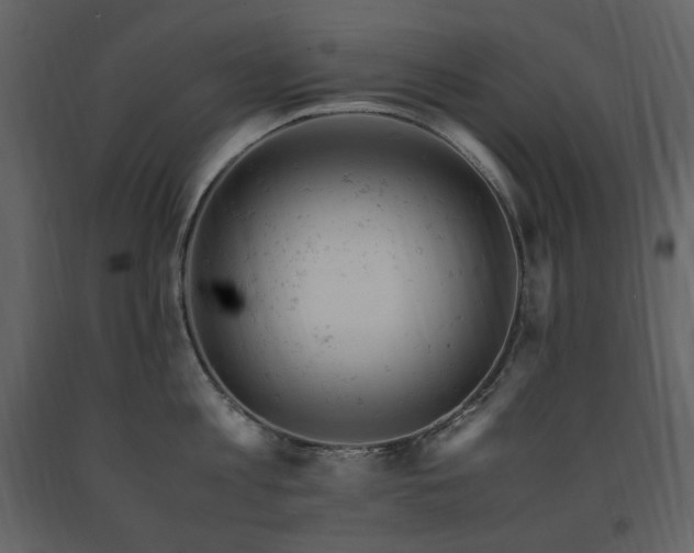 X0000091660813200708231304