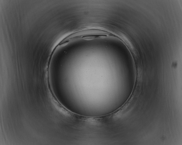 X0000091660814200708231304