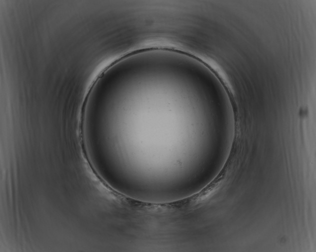 X0000091660815200708231304