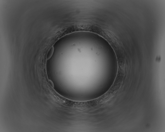 X0000091660817200708231303