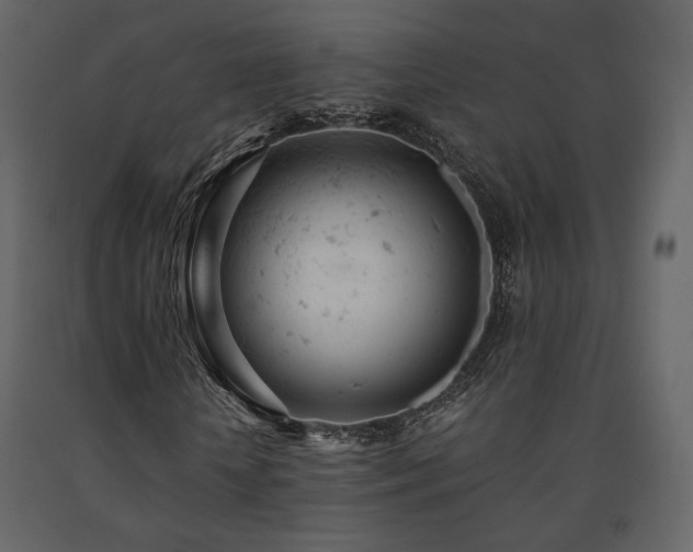 X0000091660818200708231303