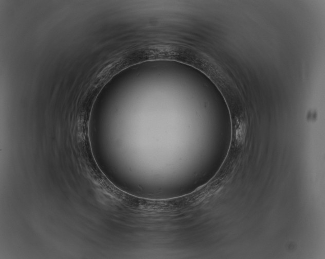 X0000091660819200708231303