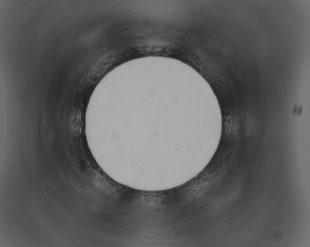 X0000091660820200708231303