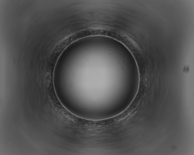 X0000091660821200708231304