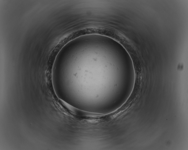 X0000091660822200708231304