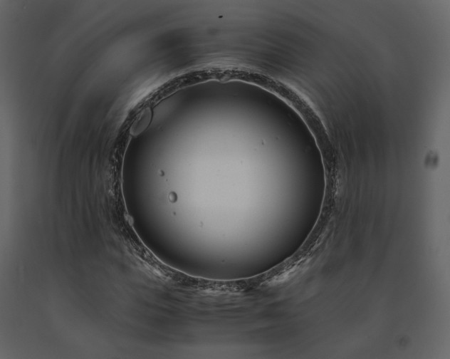 X0000091660823200708231304