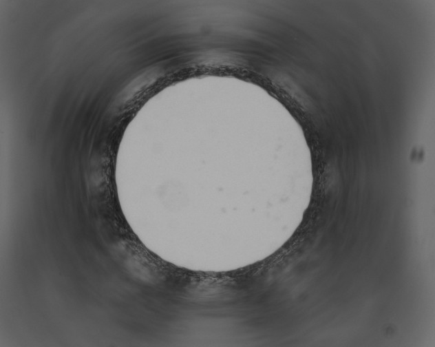X0000091660824200708231304