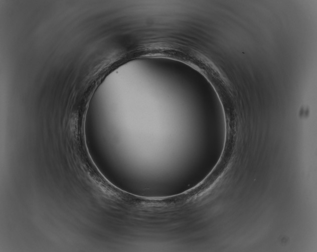 X0000091660825200708231304