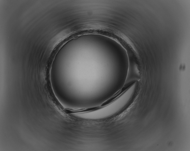 X0000091660826200708231304