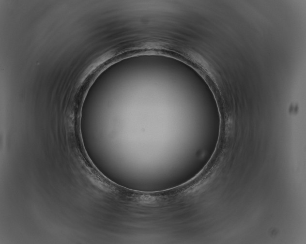 X0000091660827200708231304