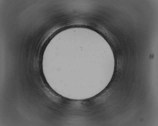 X0000091660828200708231304