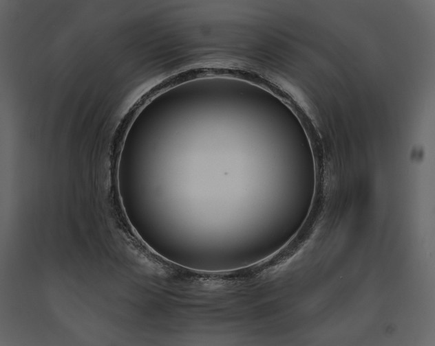 X0000091660829200708231304