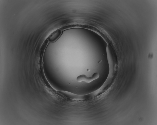 X0000091660830200708231304