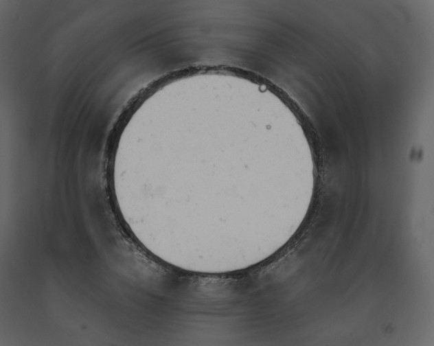 X0000091660832200708231304