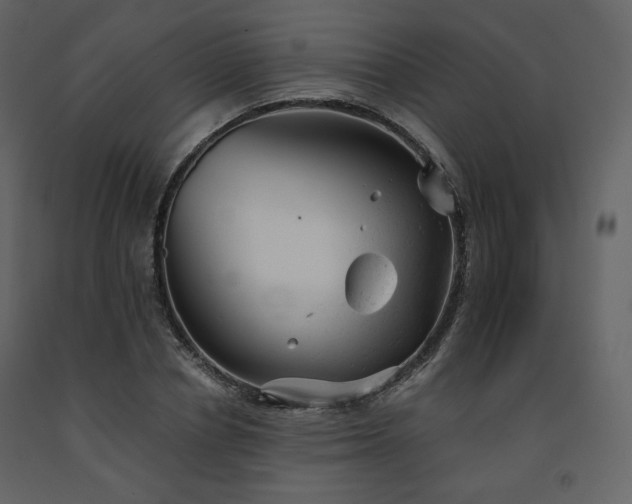 X0000091660834200708231304