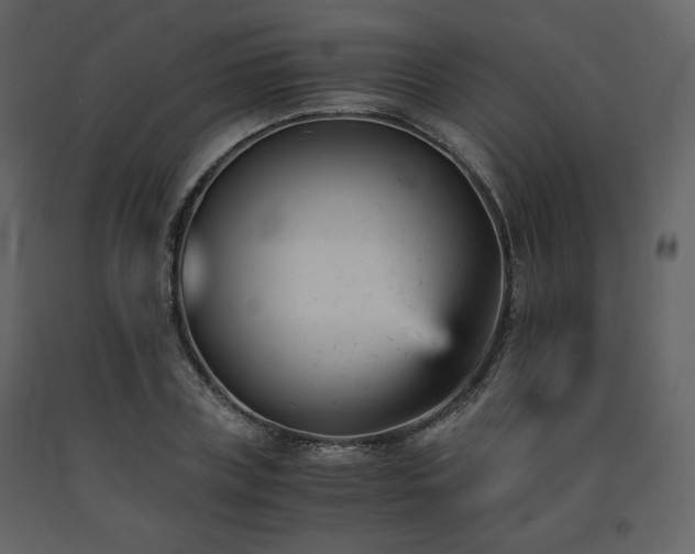 X0000091660835200708231304