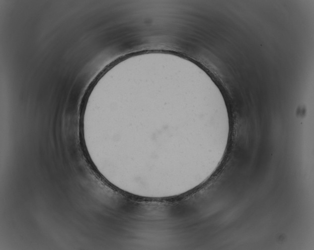 X0000091660836200708231304