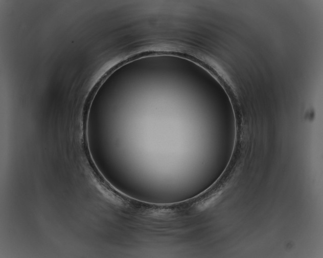 X0000091660837200708231304
