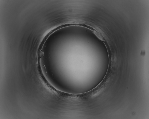 X0000091660838200708231304