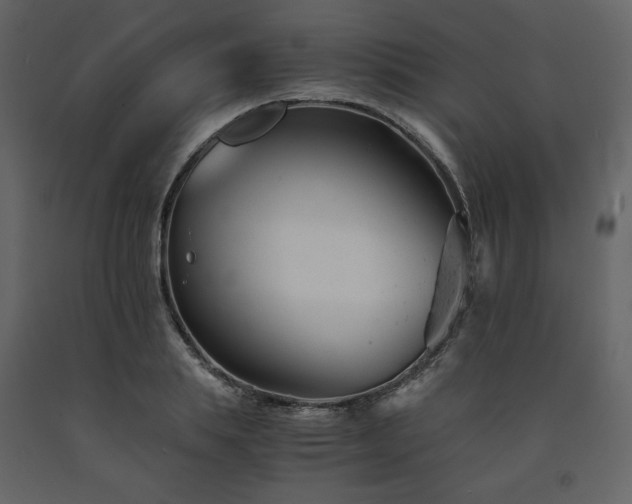 X0000091660839200708231304