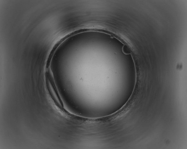 X0000091660840200708231304