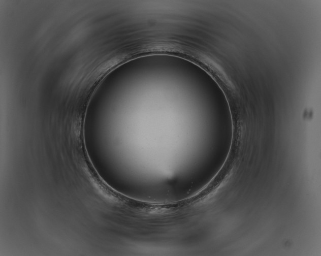 X0000091660841200708231304