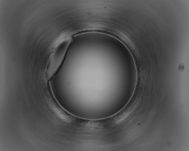 X0000091660842200708231304