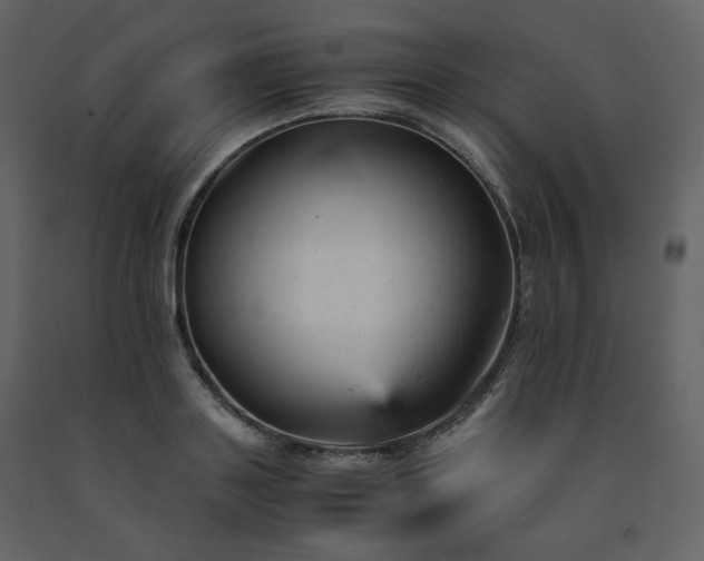 X0000091660843200708231304