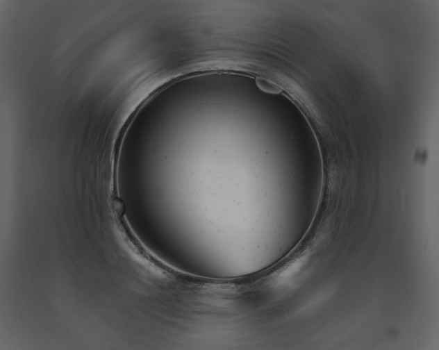 X0000091660844200708231304