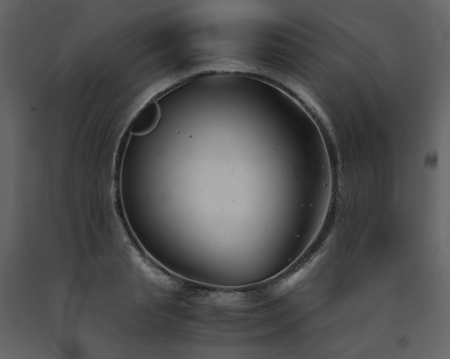 X0000091660845200708231304