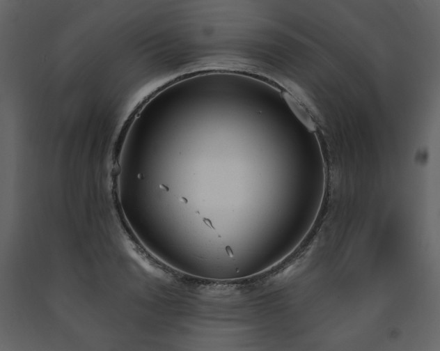 X0000091660846200708231304