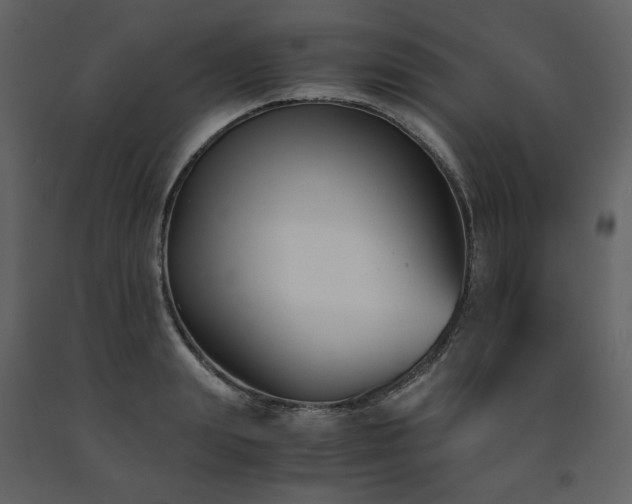 X0000091660847200708231304
