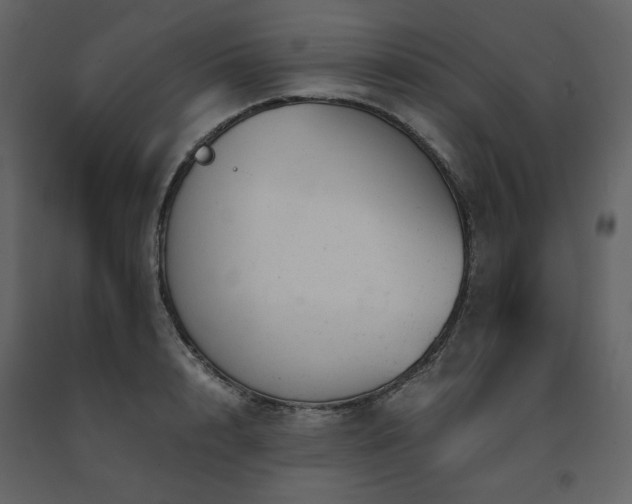 X0000091660848200708231304