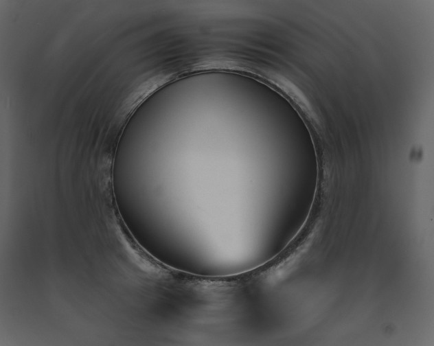 X0000091660849200708231304