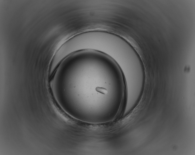 X0000091660850200708231304