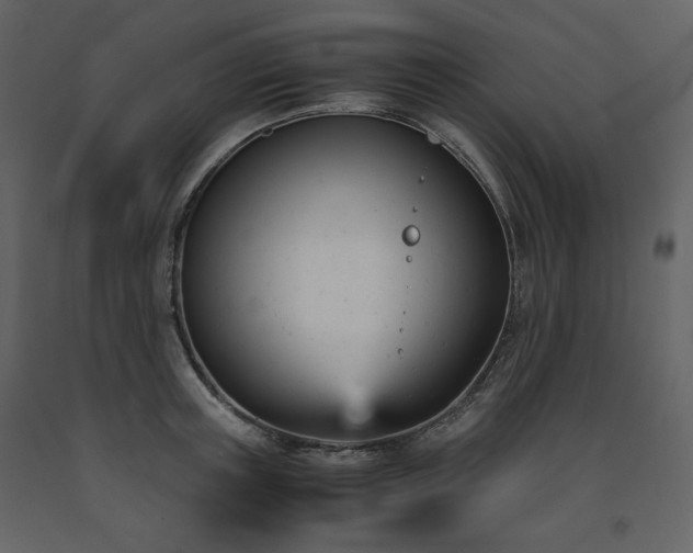 X0000091660851200708231304