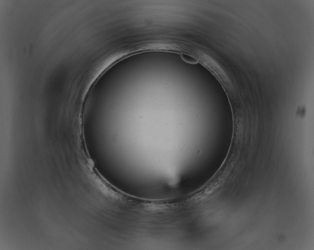 X0000091660852200708231304