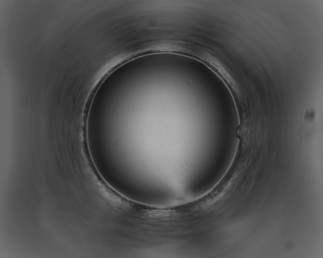 X0000091660853200708231304