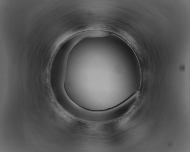 X0000091660854200708231304