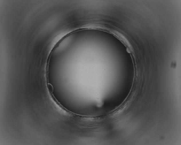 X0000091660855200708231304