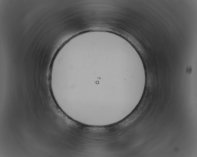 X0000091660856200708231304