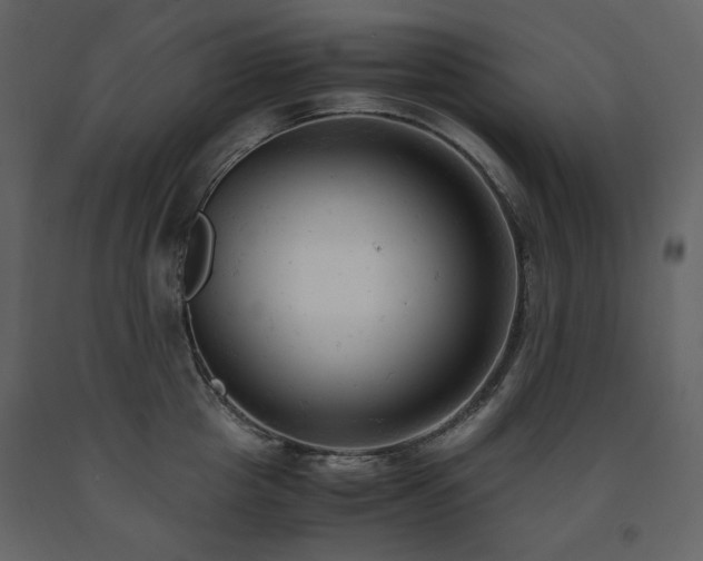 X0000091660857200708231304