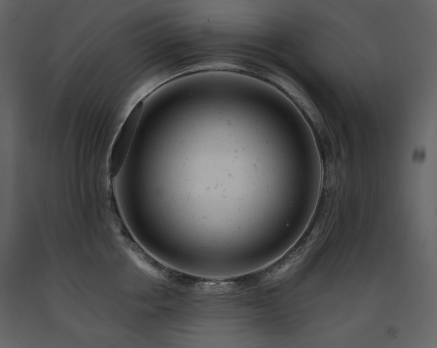 X0000091660858200708231304