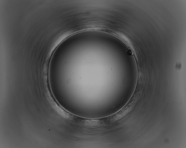 X0000091660859200708231304