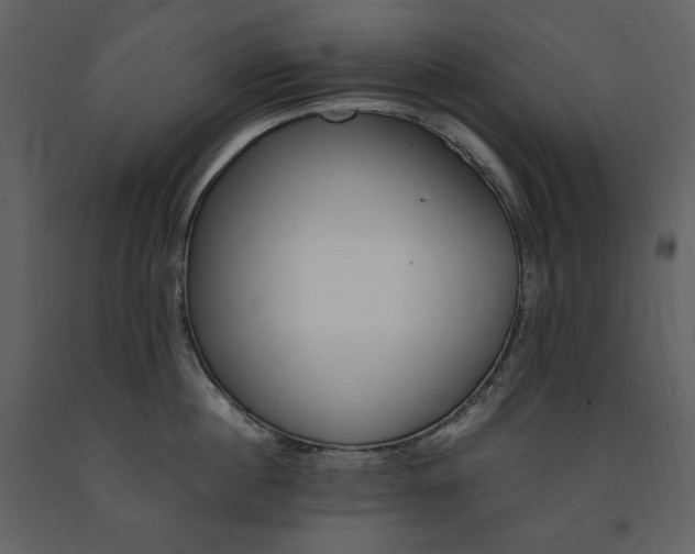 X0000091660860200708231304