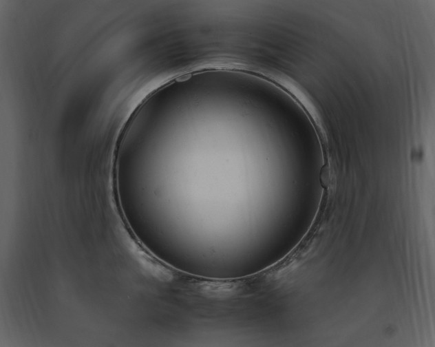 X0000091660861200708231304