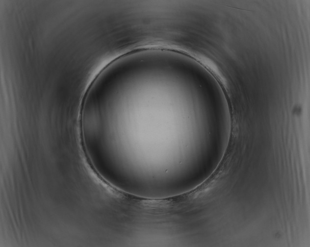 X0000091660863200708231304