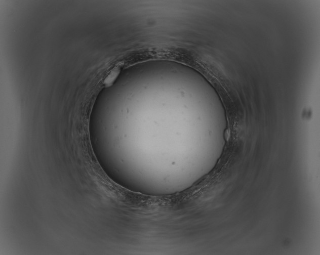X0000091660865200708231303