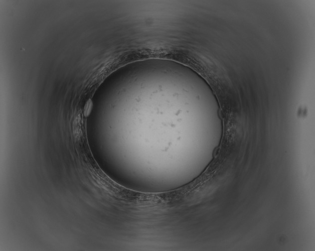 X0000091660866200708231303