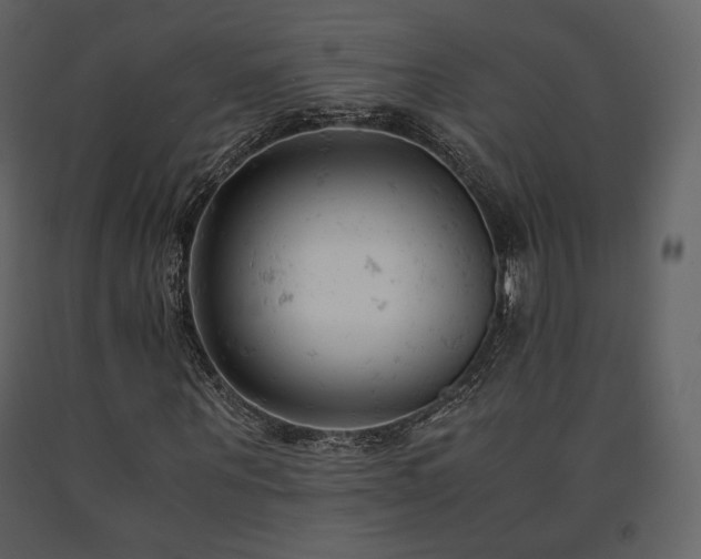 X0000091660867200708231303